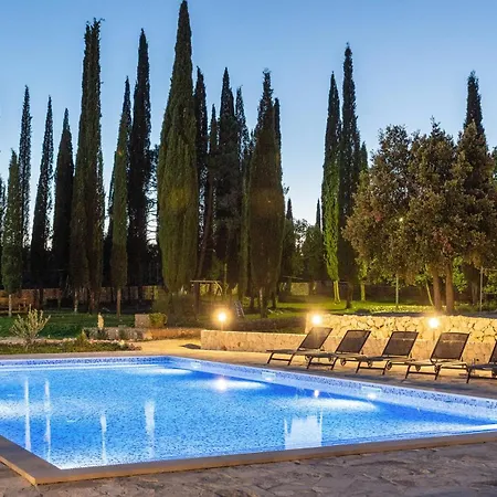 Lovely In With Wifi *